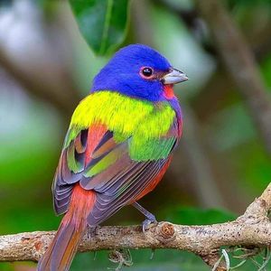 Meet your Posher, Yvette